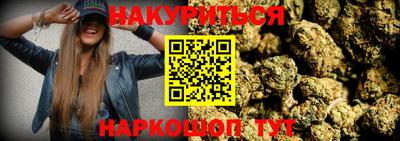 крисы Севастополь