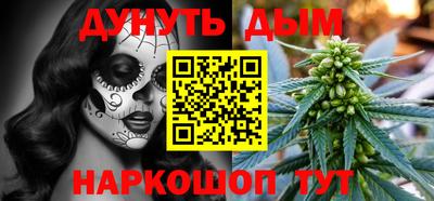 крисы Севастополь