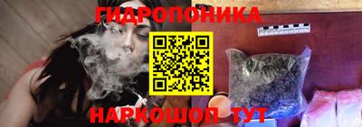 крисы Севастополь