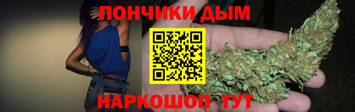 Бошки марихуана планчик  Вход с VPN  Бошки марихуана гибрид  Каннабис Bruce Banner  Нягань 